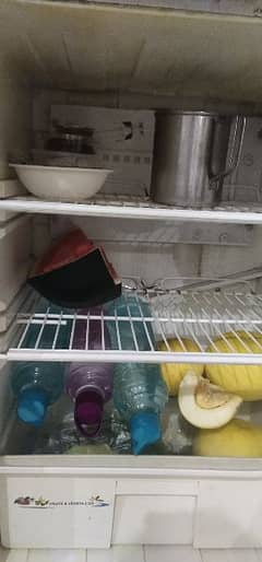 PELL Refrigerator