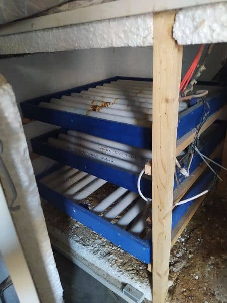 incubator for eggs automatic 1