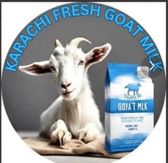 goat milk 400/- liter
