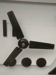 Pak fan celling fan 2 piece