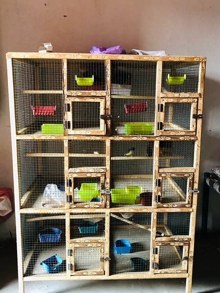 Breader setup gouldian finch, Bengalese finch, finch cage and box 8