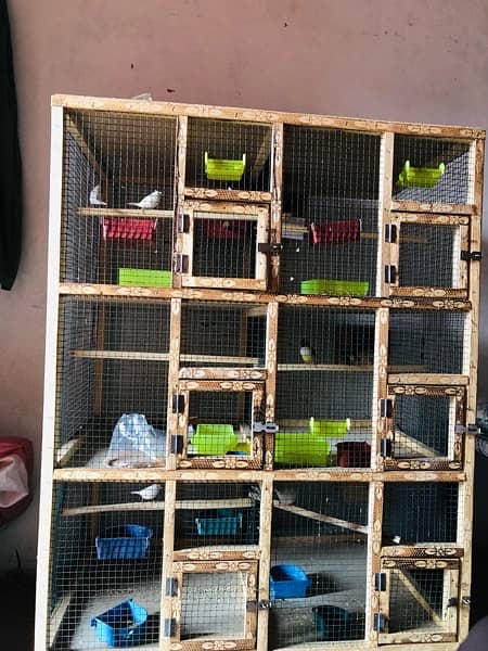 Breader setup gouldian finch, Bengalese finch, finch cage and box 9