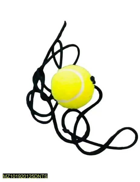 ball with Rope 1