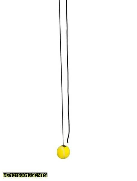 ball with Rope 3