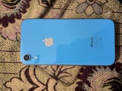 Iphone XR 256GB Condition 10/10
