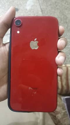iphone XR 128gb. Red color 10by10 condition. 4 mon. . . . .