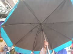 Umbrellas/Plastic