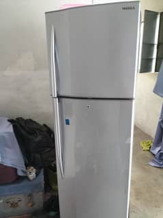 Medium size  Refrigerator  No Frost