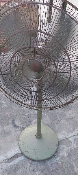 Pak Fan  pedestal 5