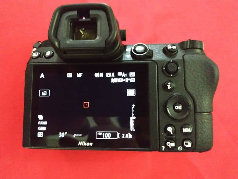 Nikon Z6 7580 clicks 2