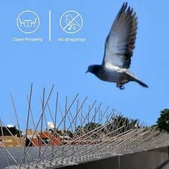 Birds Spike | Anti Roosting | Birds Control