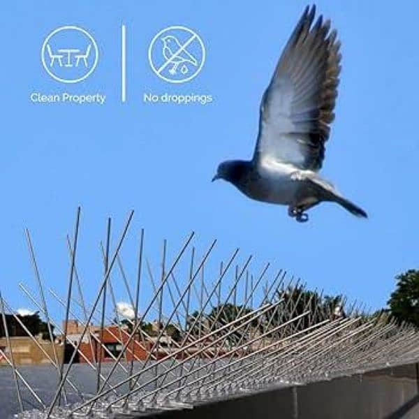 Birds Spike | Anti Roosting | Birds Control 0