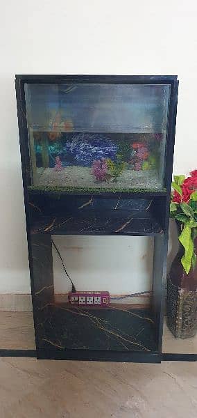 fish aquarium 3