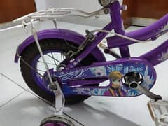 purple cycle