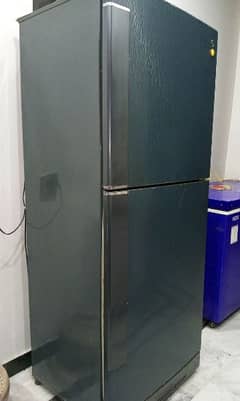 PEL Refrigerator Model PRDI 160 (Big/Jumbo Size)