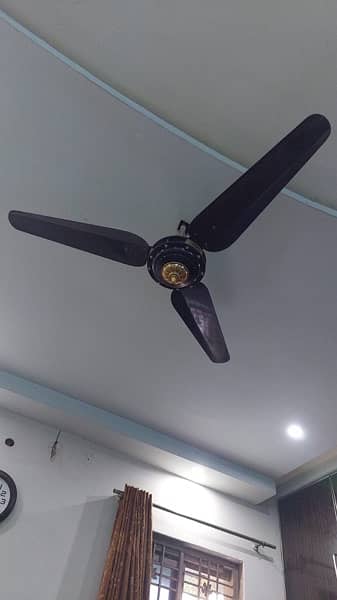 Dream ceiling fans for sale 4