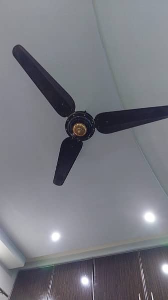 Dream ceiling fans for sale 5