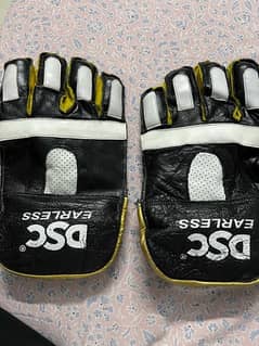 dsc keeping gloves 0