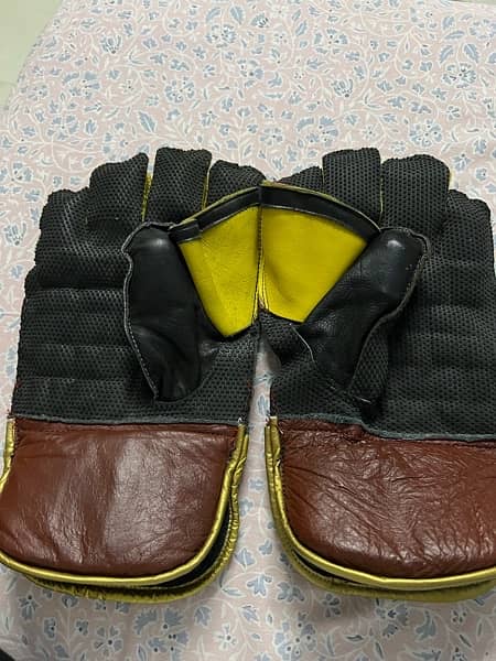 dsc keeping gloves 1