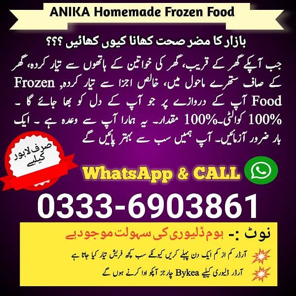 frozen food Homemade Lahore 5