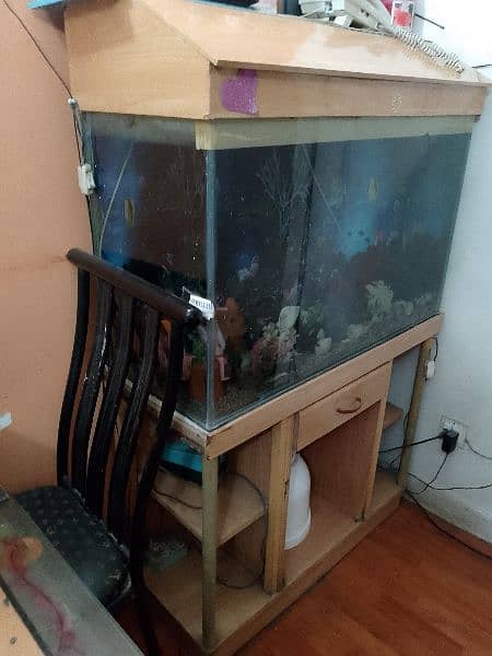 Aquarium for sale 2