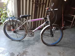 Phoenix Cycle For Sale
