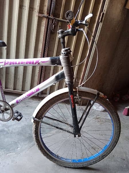 Phoenix Cycle For Sale 3