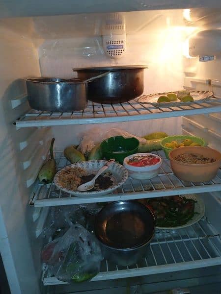 full size fridge 1