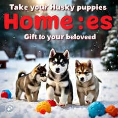 Woolly Coat Puppies Make the Perfect Gift!