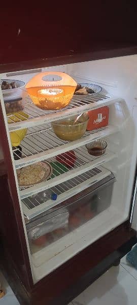 Pell full size fridge 2