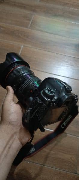Canon 6D with 24-105F4L 1