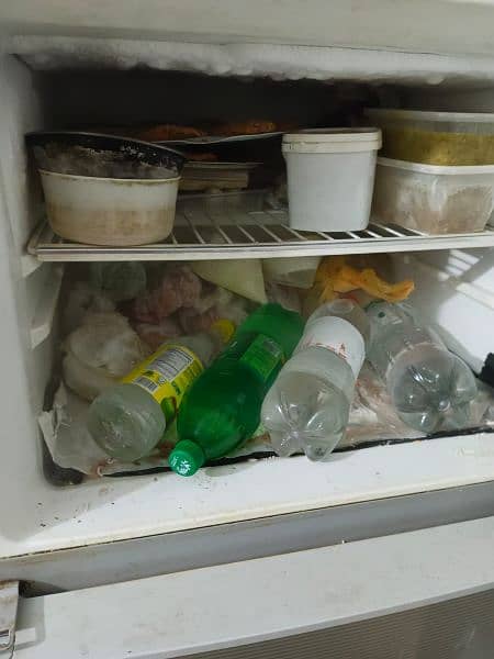 Haier Refrigerator/Freezer 3