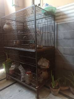 Birds cage/Cage 0