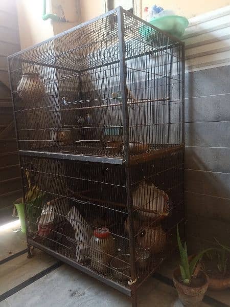 Birds cage/Cage 1