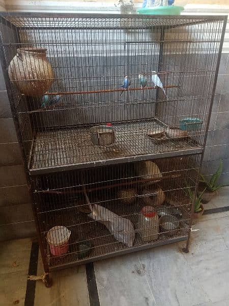 Birds cage/Cage 2