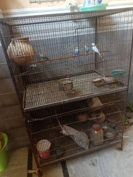 Birds cage/Cage 3