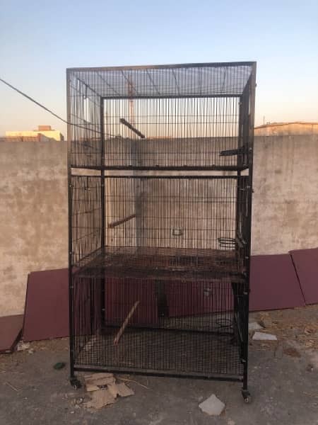 Cage For Big Birds Raw African Grey 1