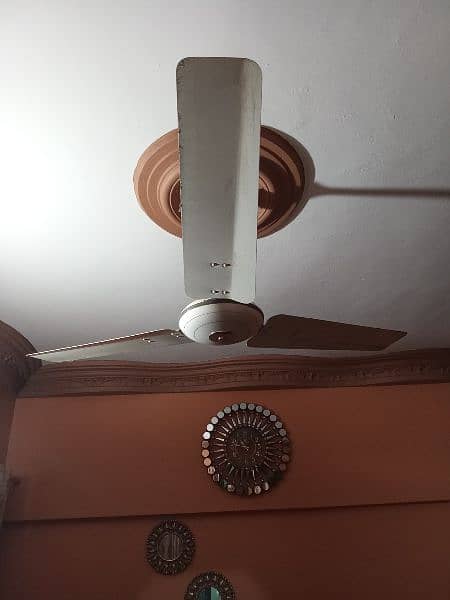 ROYAL CEILING FAN 56" 2