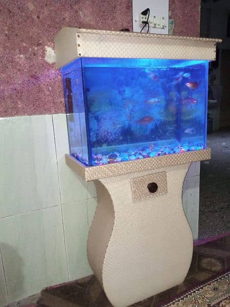 2 fit by 2 fit and Air Filter+LED goldfish pair and koi pair 6fish 17