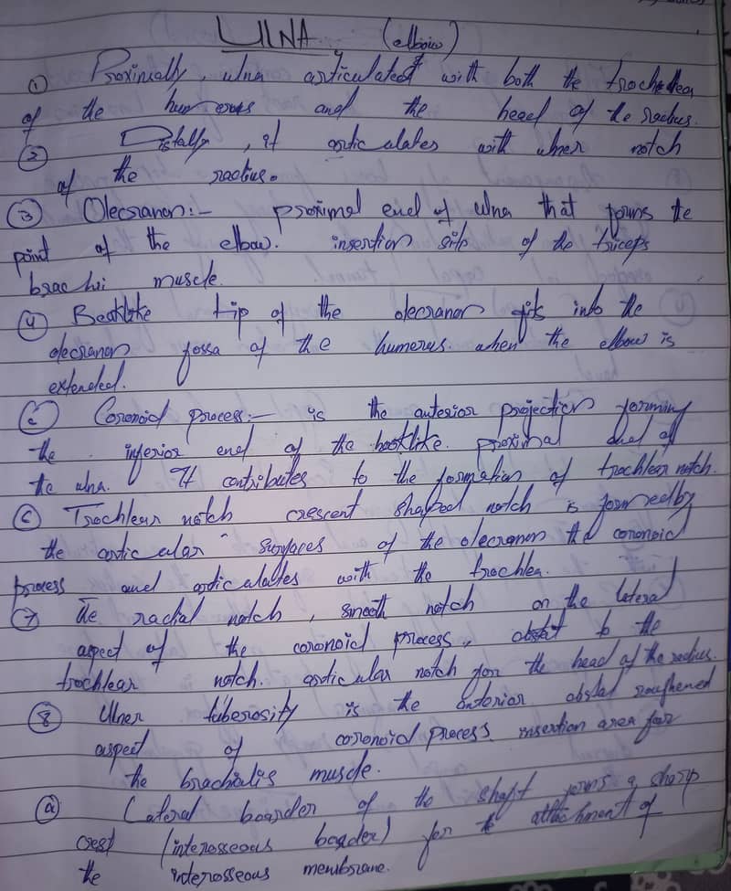 Handwritten assignment writer 2