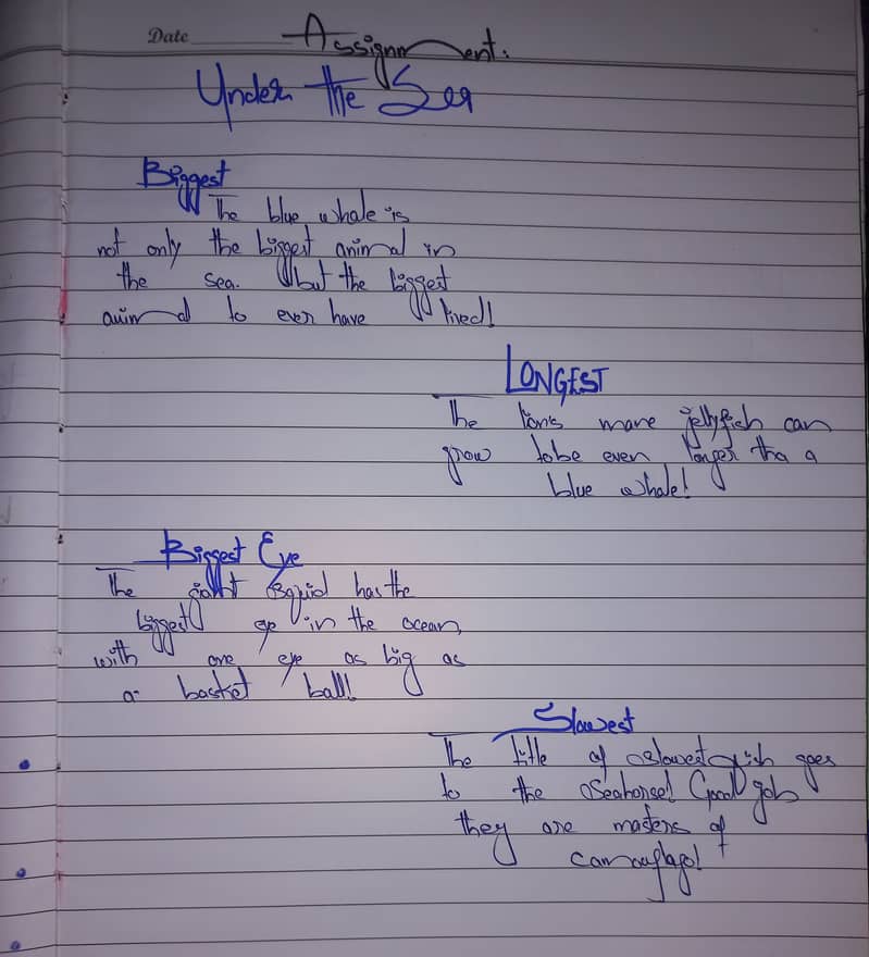 Handwritten assignment writer 3