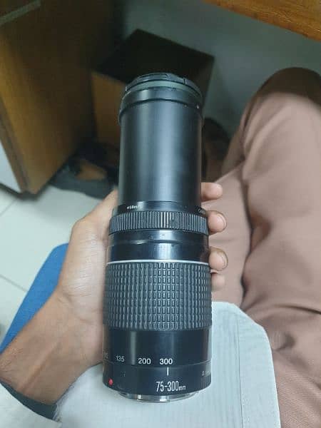 75-300 mm lens canon 1