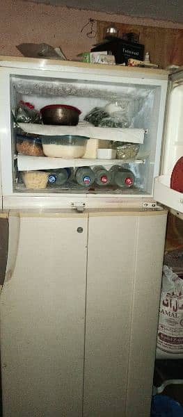 PEL Jumbo size fridge 2