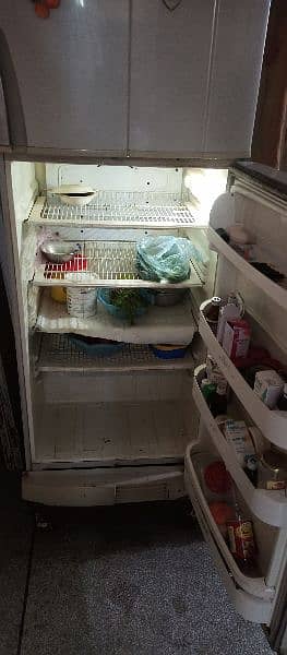 PEL Jumbo size fridge 3