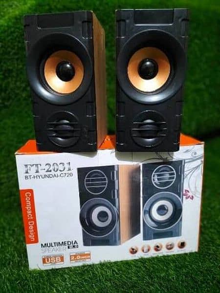 Ft 2031 LED speaker 1