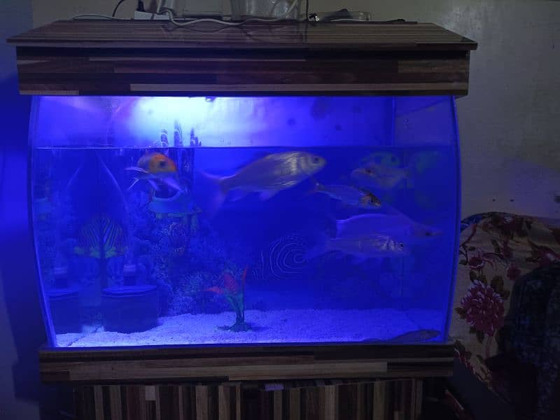 aquarium with table and fishes for sale 6
