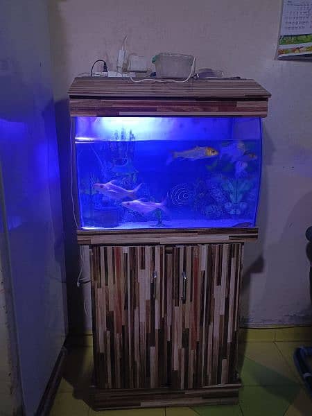 aquarium with table and fishes for sale 8