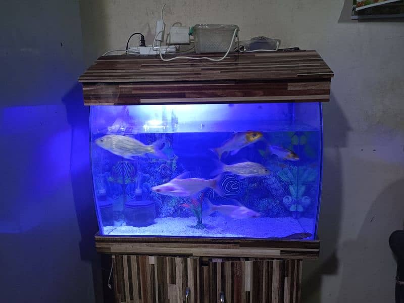 aquarium with table and fishes for sale 10