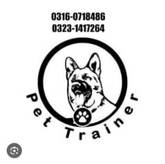 Dog Trainer