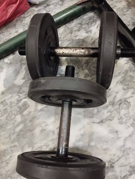 Gym Dumbbells And Plates 4